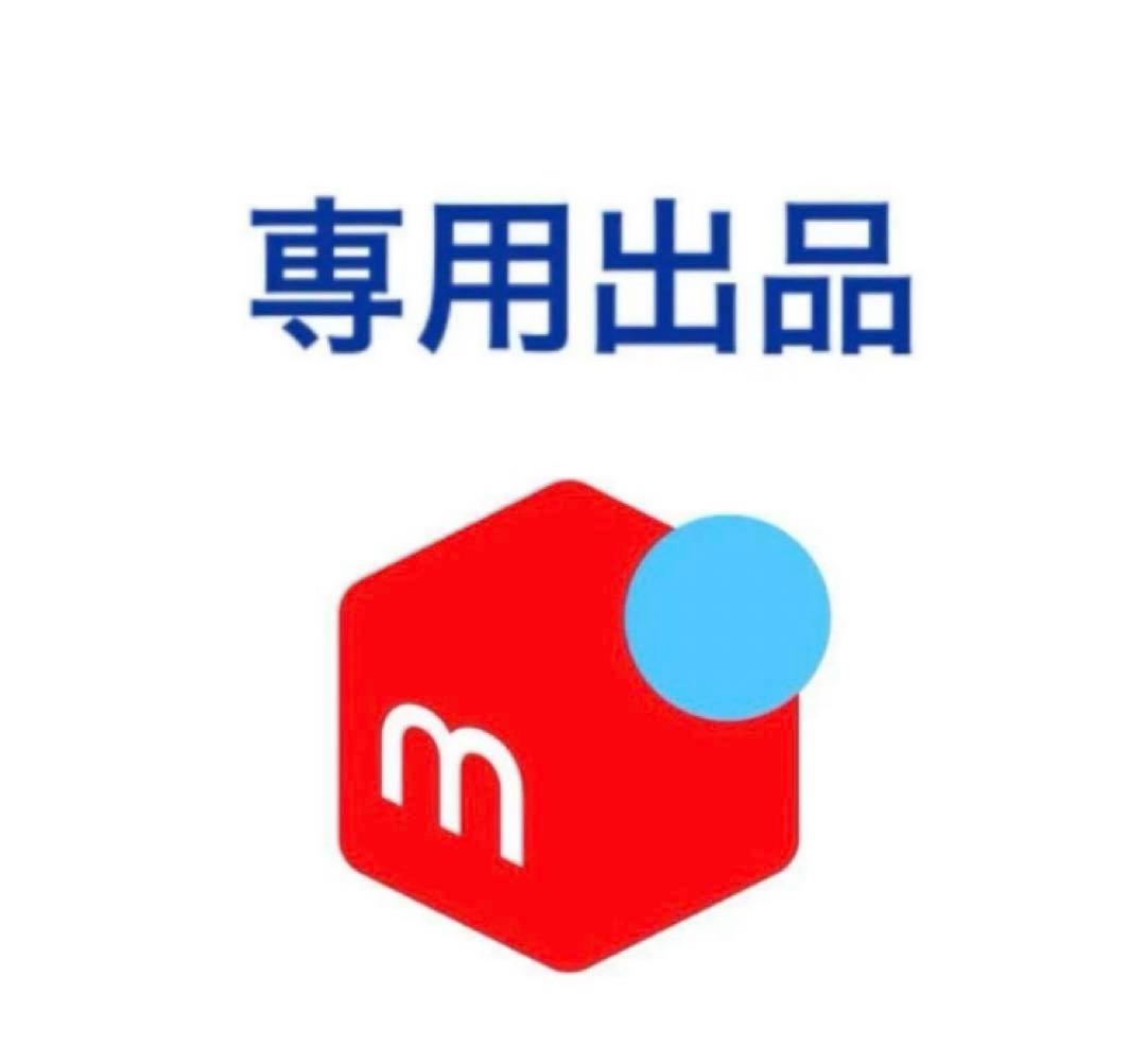 ほ SP TADAO SP忠男マフラー Ninja ニンジャ ZX-25R 2BK-ZX250E POWERBOX