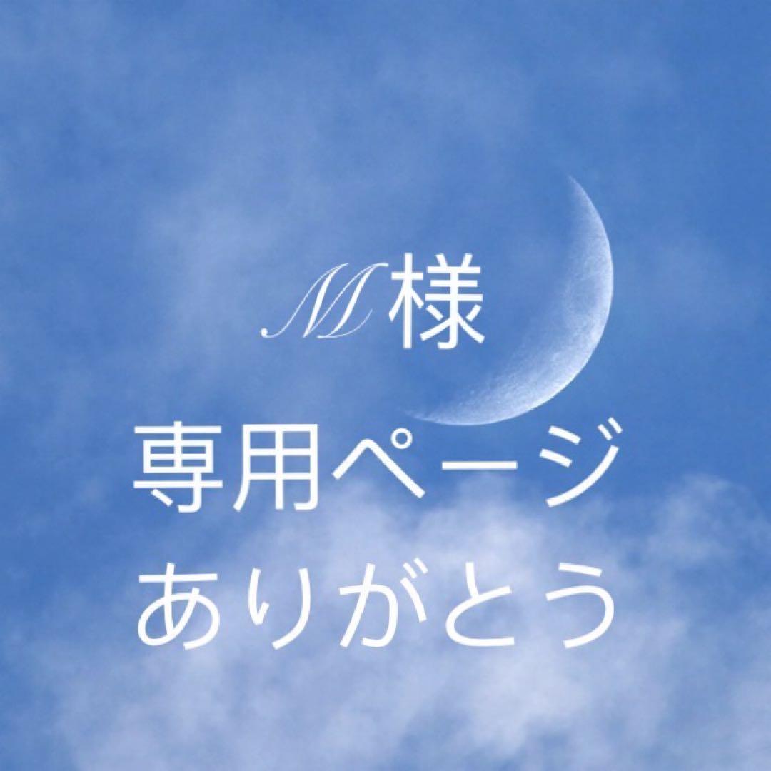 Mページ　25e 23- ZX-25R Slip-On Exhaust BLADE 発売 – モリワキエンジニアリング