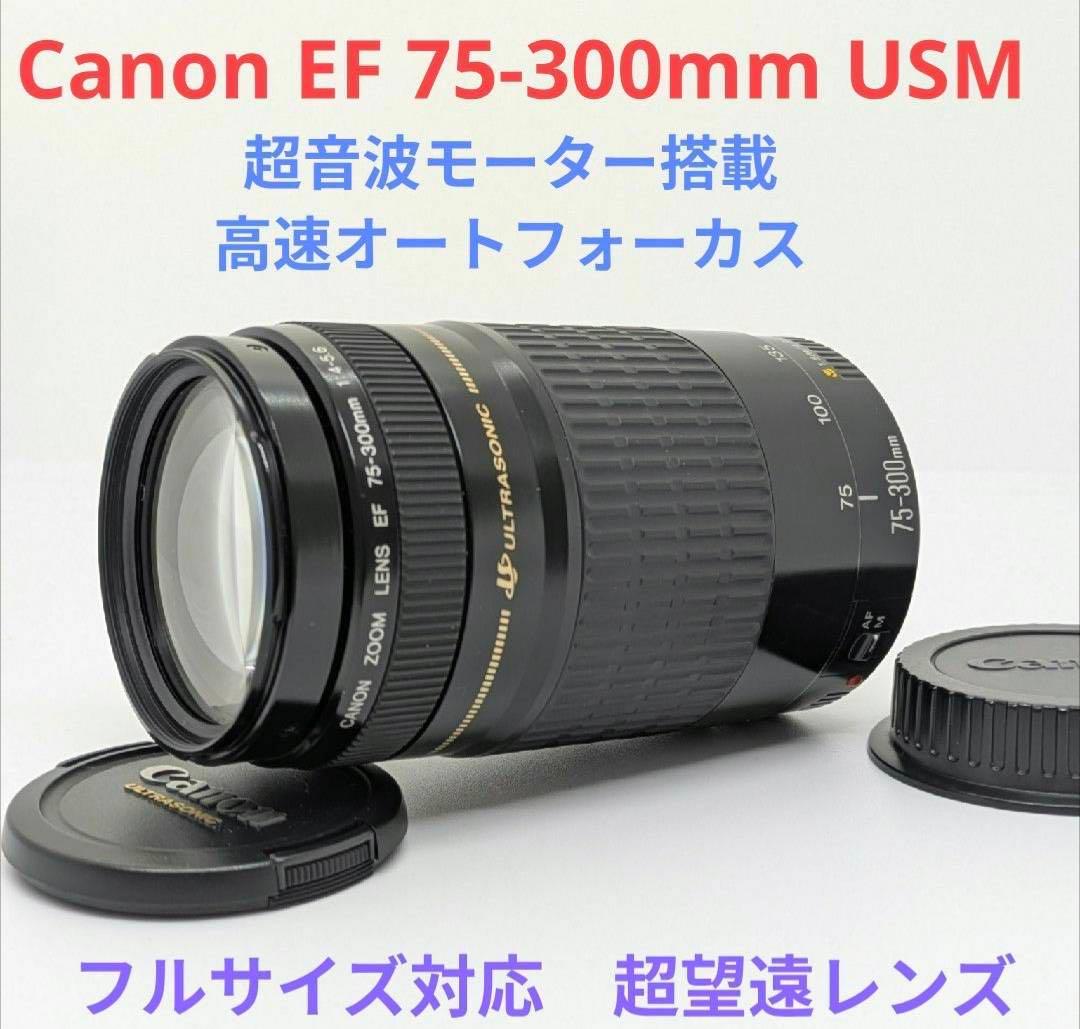 超音波モーター搭載【超望遠レンズ】Canon EF 75-300mm USM Amazon.co.jp: Canon EFレンズ EF75-300mm F4-5.6 IIIズームレンズ