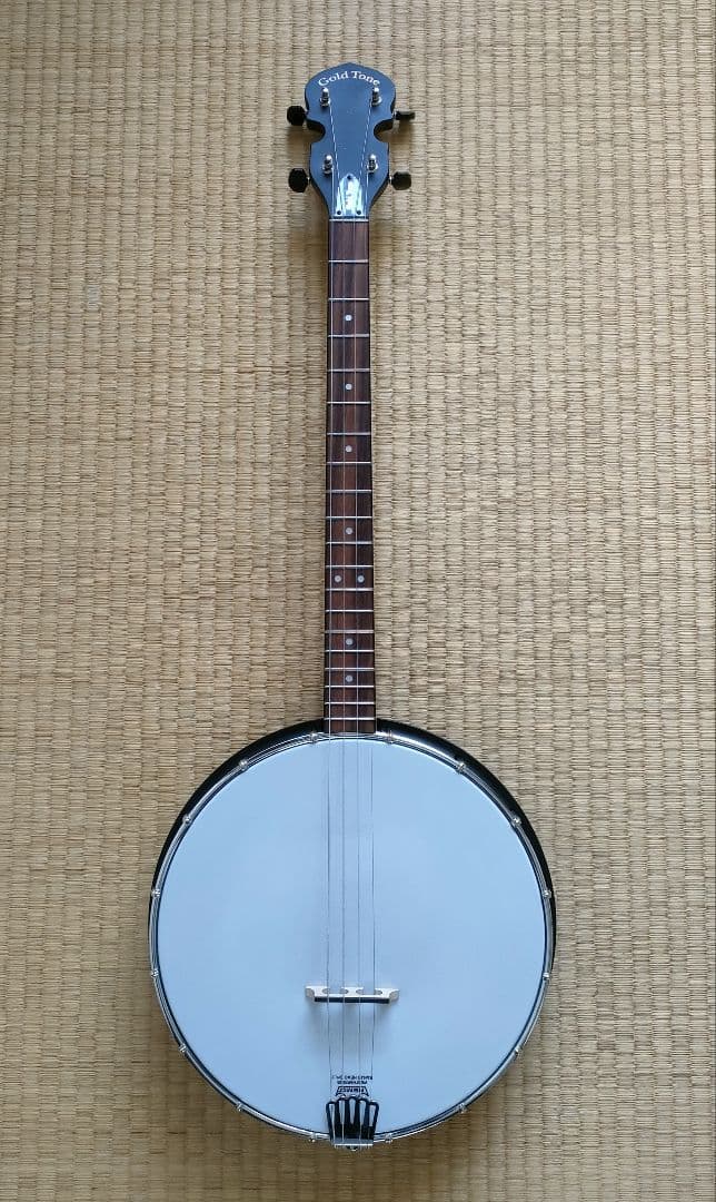 【美品】Gold Tone　AC-4IT　アイリッシュテナーバンジョー AC-4IT Acoustic Compoosite Irish Tenor Banjo | 【クロサワ楽器店