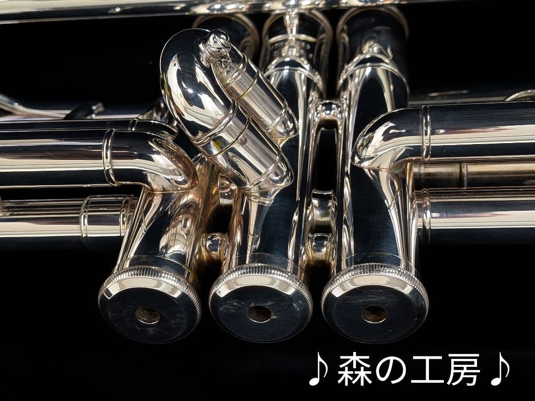 商談中【おこた様専用】ヤマハ YTR4335G トランペット‼️ - メルカリ