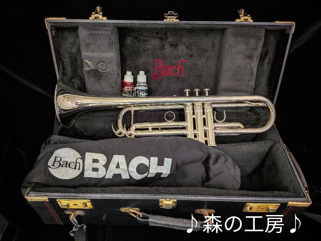 商談中【おこた様専用】ヤマハ YTR4335G トランペット‼️ - メルカリ