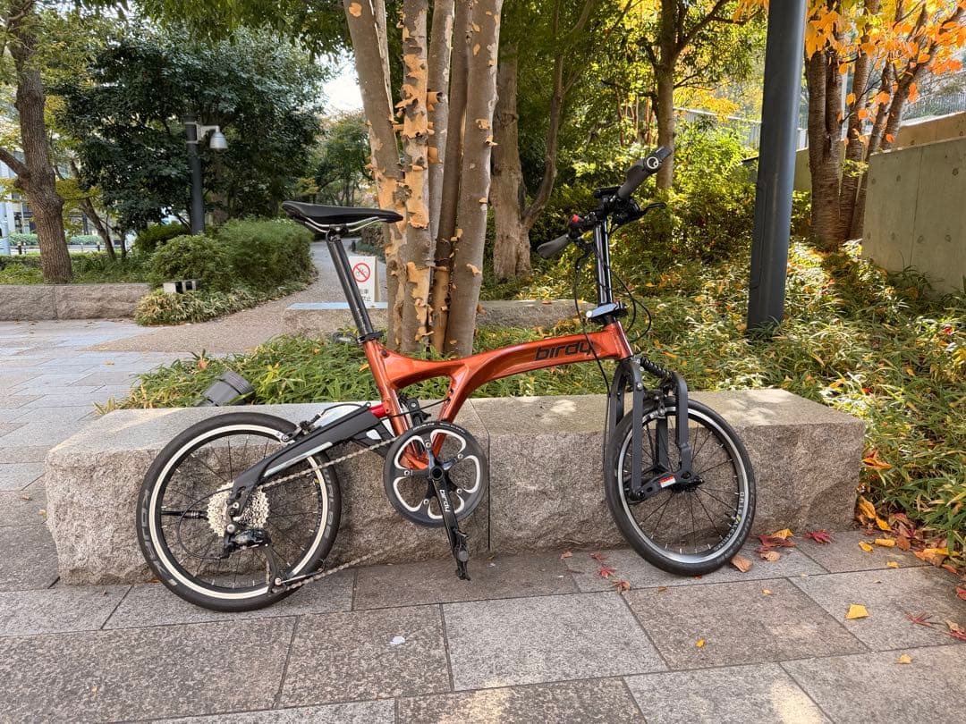 折りたたみ自転車 アルミフレーム オレンジ BAGGIO 防災対応20型6スピードノンパンク折りたたみ自転車 色