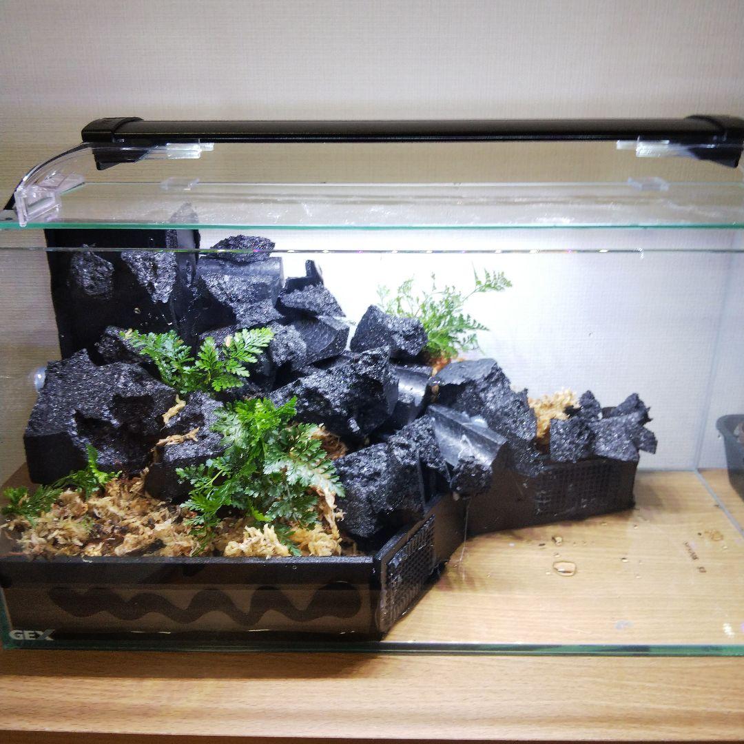 受注生産】滝の流れるアクアテラリウム イモリウム 苔 水槽 苔