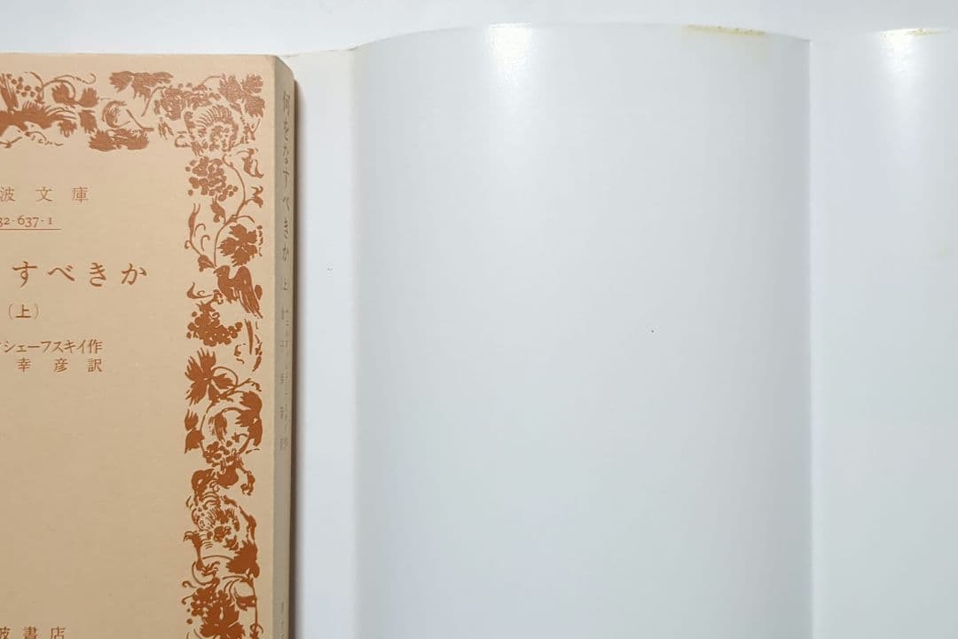 チェルヌイシェーフスキイ 何をなすべきか 哲学の人間学的原理 岩波