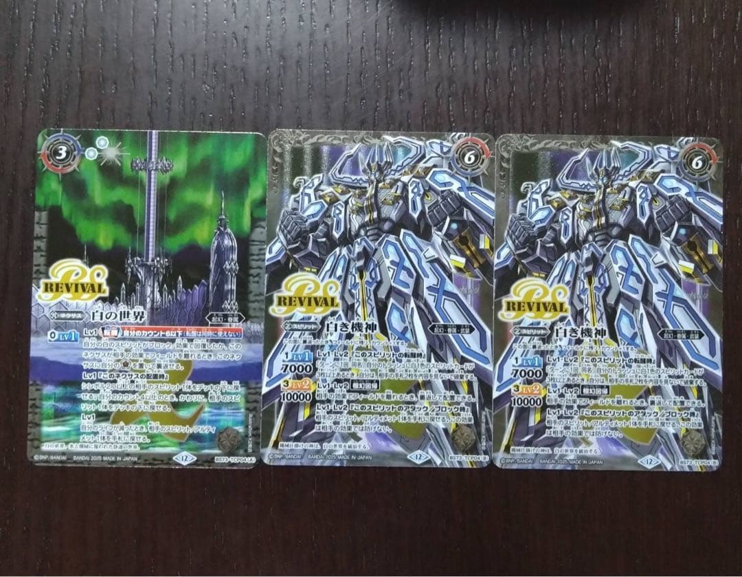 サボテン　青紫白世界3コン サボテン 青紫白世界3コン サボテン 青紫白世界3コン サボテン 青紫白