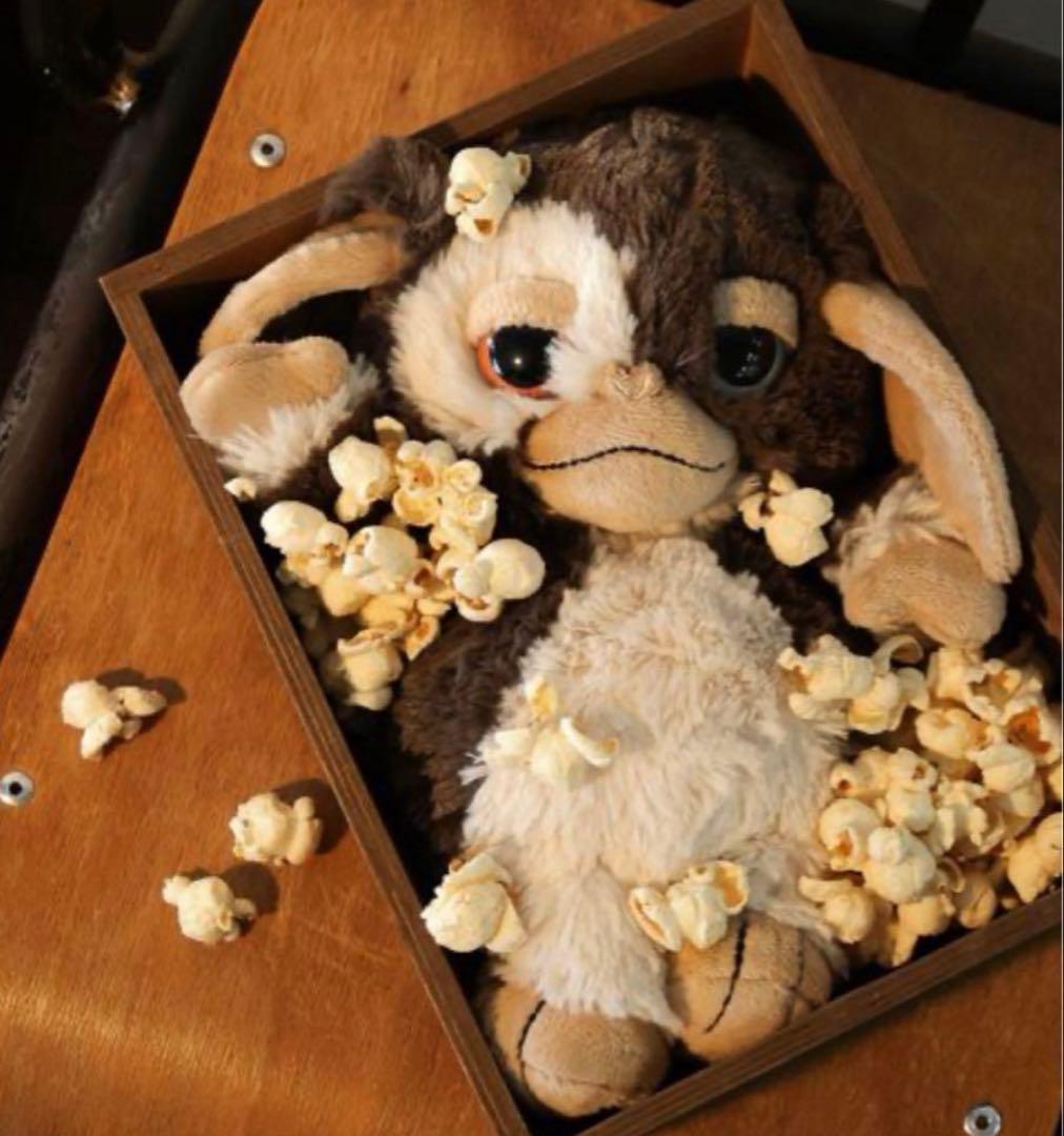 グレムリン　ギズモ　25センチ　ぬいぐるみ　No.922 別注【GREMLINS】ギズモぬいぐるみ25cm(WEB限定) | [公式]ベイフロー