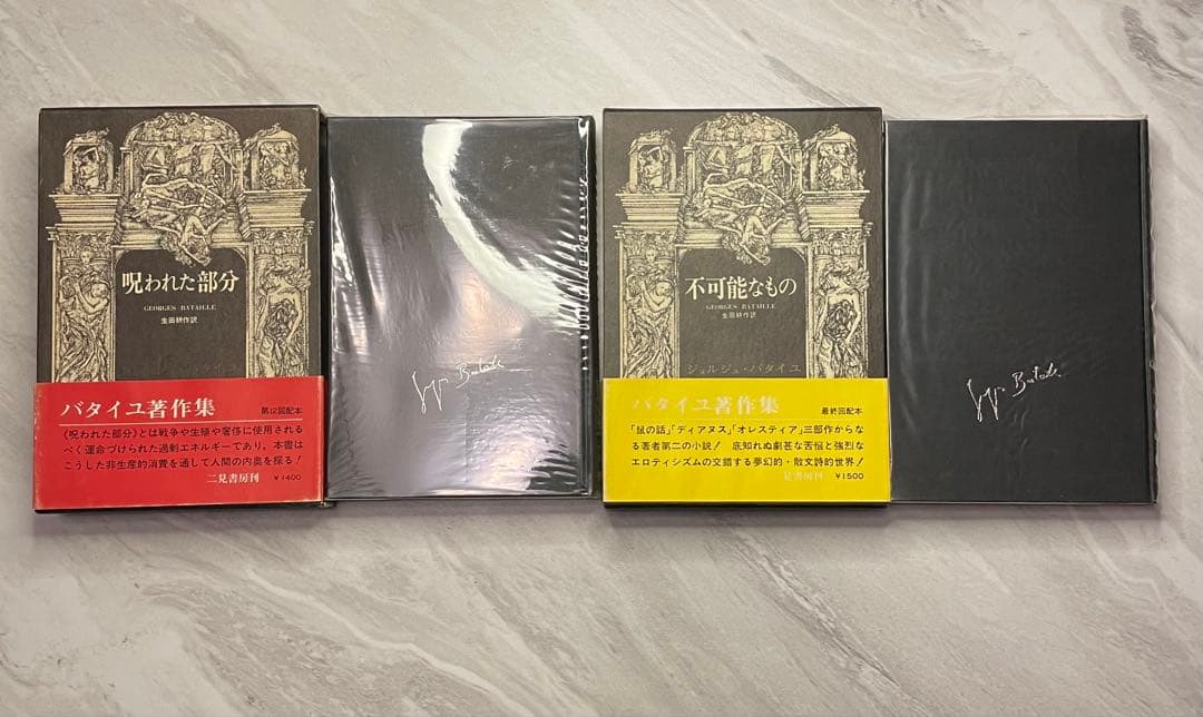 ジョルジュ・バタイユ著作集 10冊（全初版） - メルカリ