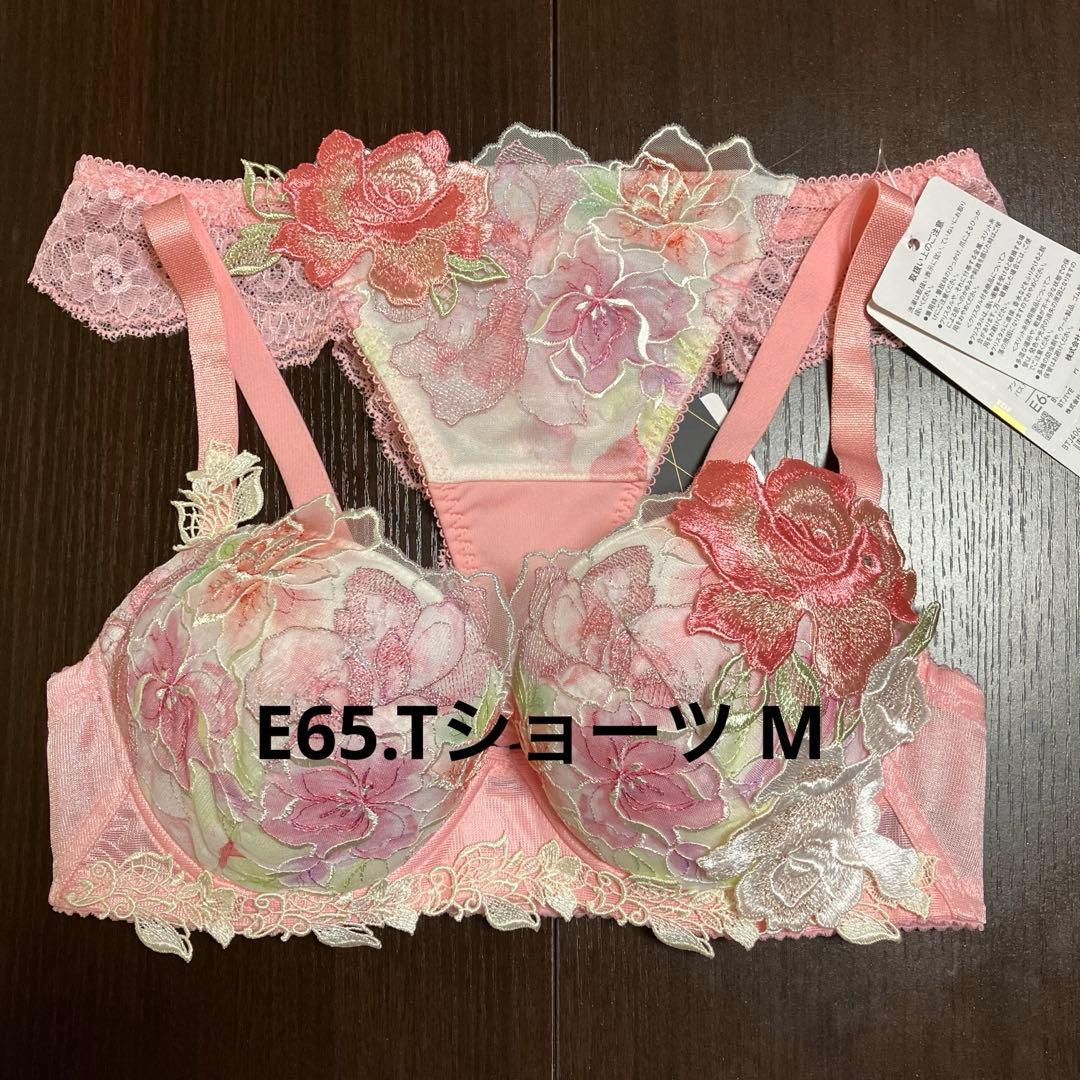 ワコール　サルート06g セットアップ　E65 BTJ486｜ワコール サルート 86G ブラジャー単品 BCDEFGHIカップ