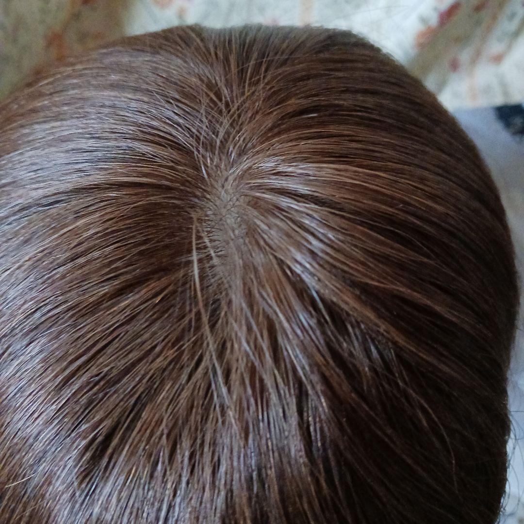 11月末削除 処分価格☆医療用人毛、手植えフルウィッグ