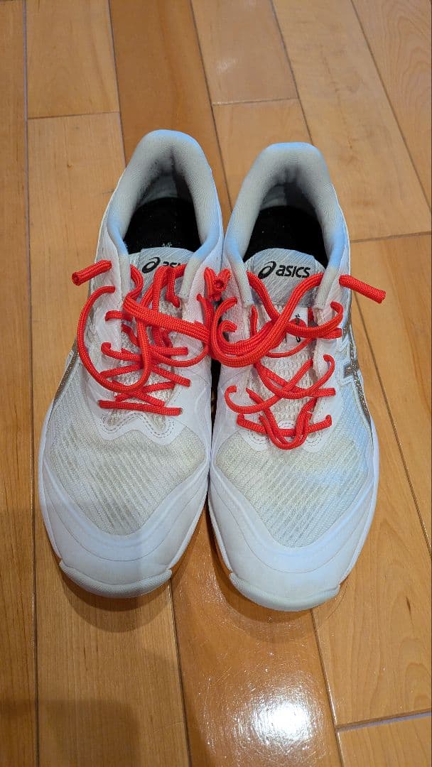 バレーボールシューズ ローテジャパンライト 限定カラー 25.0cm