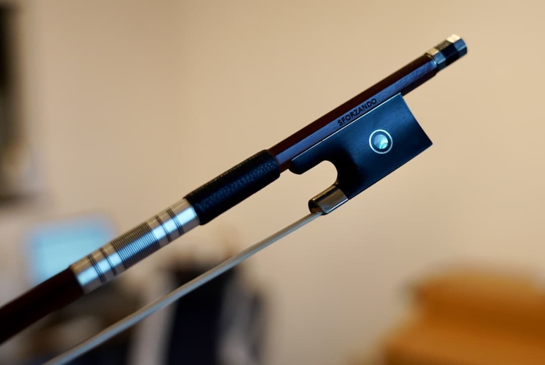 別格】R.Paesold No.806 バイオリン 4/4 - メルカリ