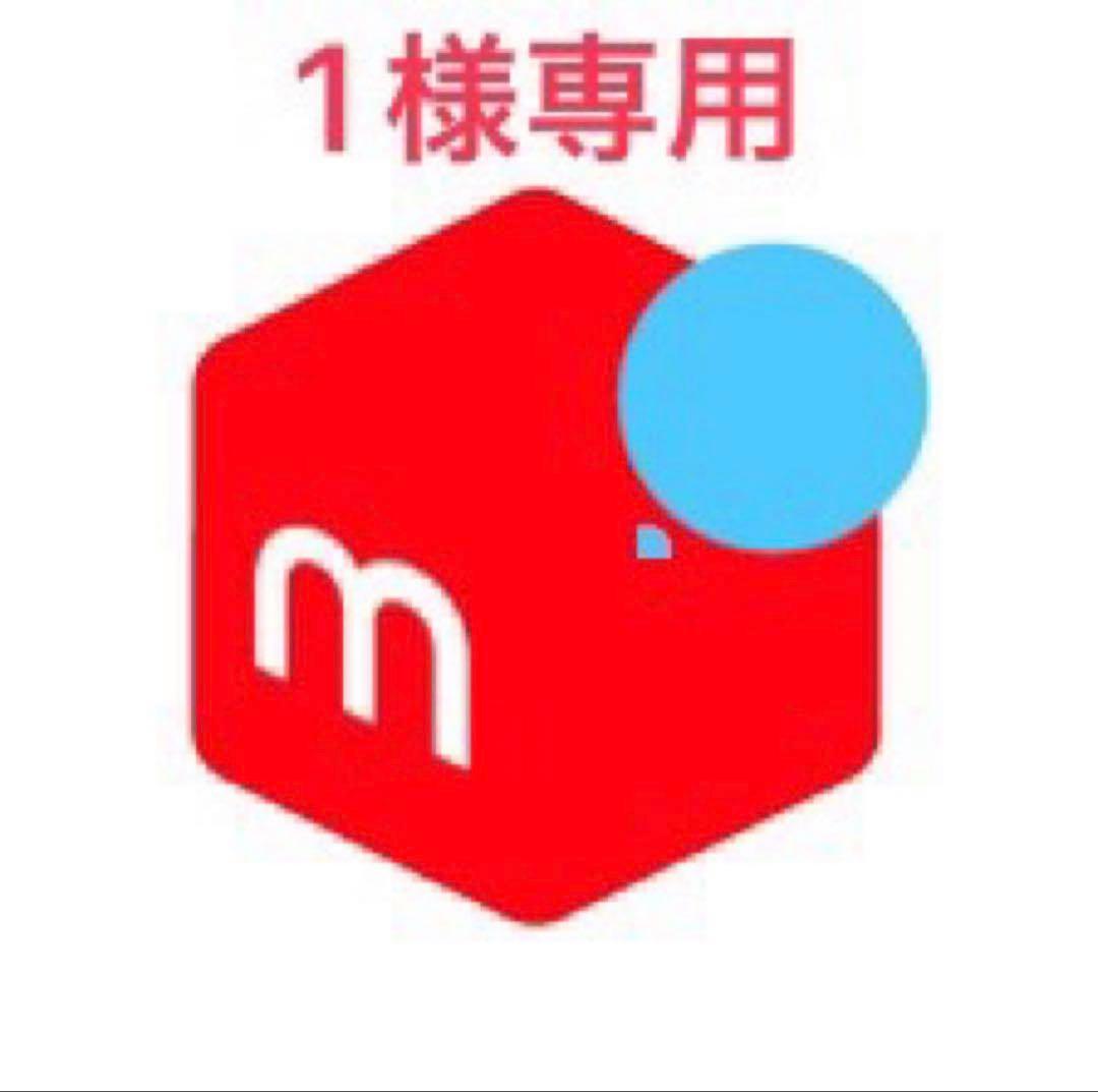 小物・アクセサリー 1 Zカラビナー #1×2P ステンレスシルバー – Nite Ize JAPAN