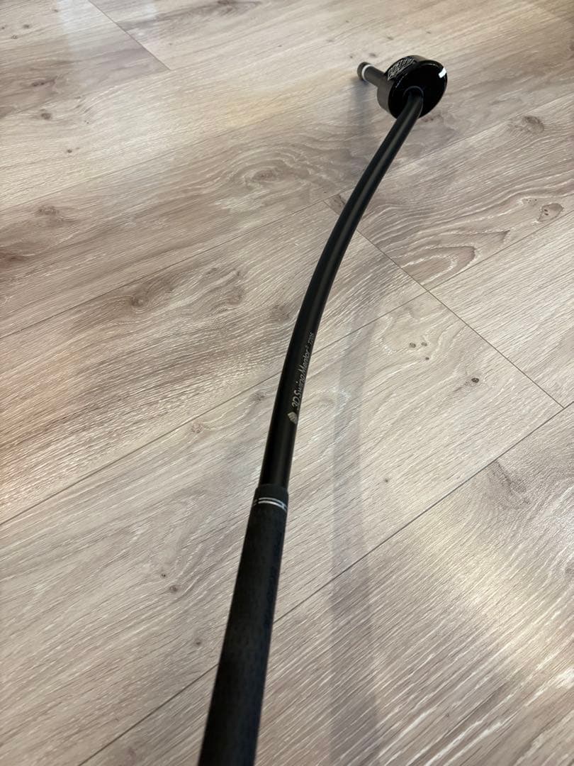 3D Swing Mentor T205 タスクゴルフ