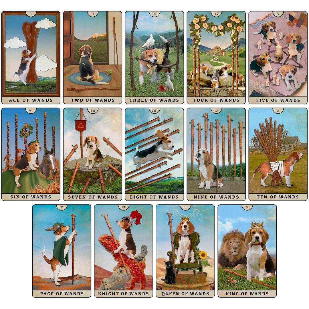 Midnightは猫が好きཐི♡⃘ཋྀ様専用☆タロット - メルカリ