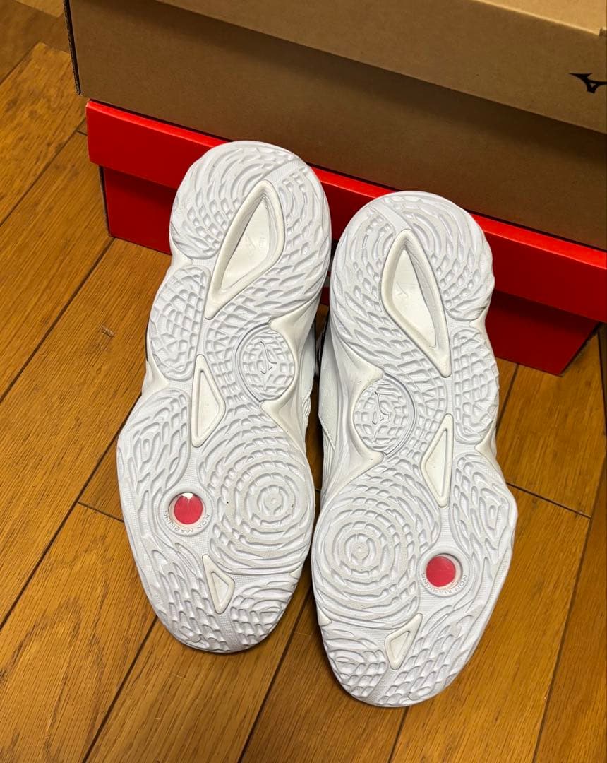 1回のみ◾️WAVE MOMENTUM 3 MID 25.0cm バレーボール