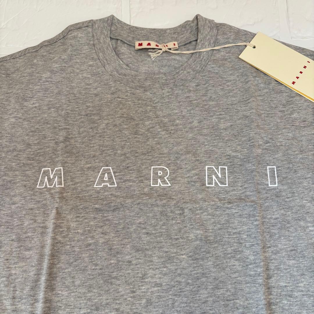 新品未使用】マルニ キッズ Tシャツ グレー 12Y（7号相当） - メルカリ