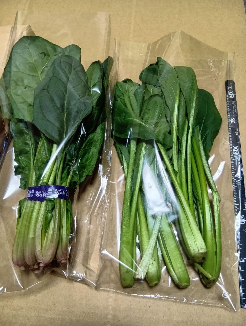 葉物野菜出荷用三角袋5000枚 小松菜、ほうれん草等に