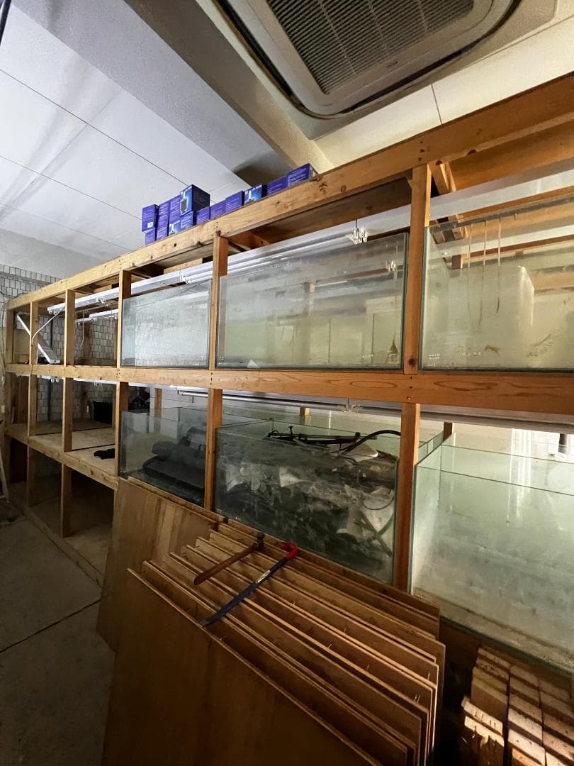 大きめ ガラス水槽 使用済品 中古 汚れあり 引き取り限定(埼玉)の通販