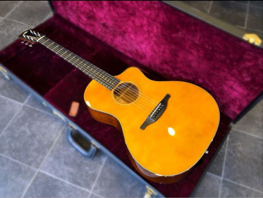 美品】VG VG-00CE Mahogany 寺田楽器製 - メルカリ