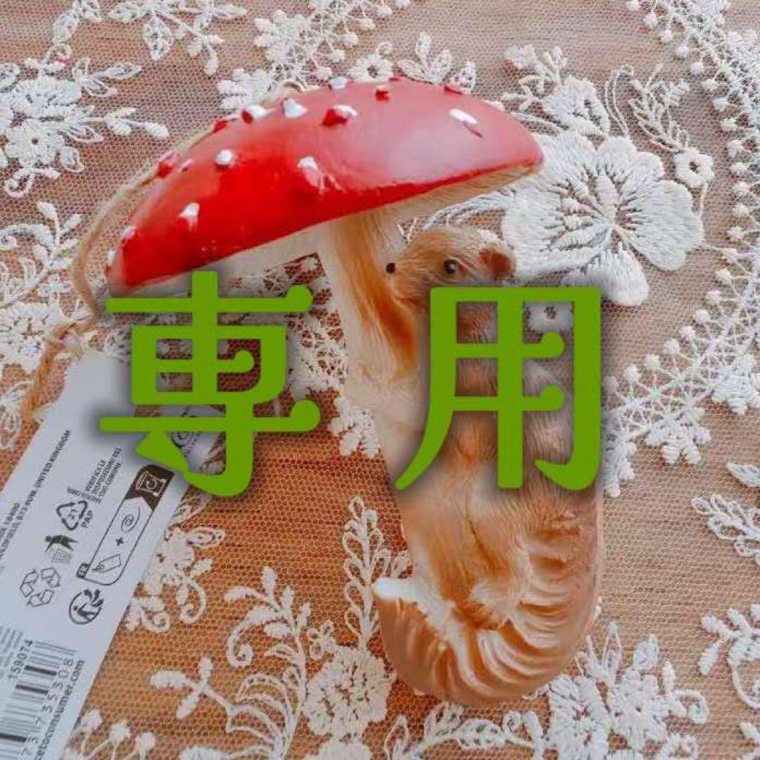 いばら エクストラパック 第49弾 アイドル♪ギャラクシーフェスタ ｜ Z/X