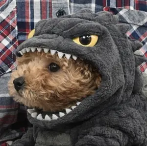 ヴァンガード RRR 雪舞う夜空に祝いの歌を - メルカリ