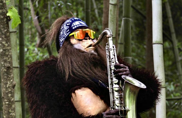 Saxsquatch - Soled Out Tour at Madison Live (October 2023