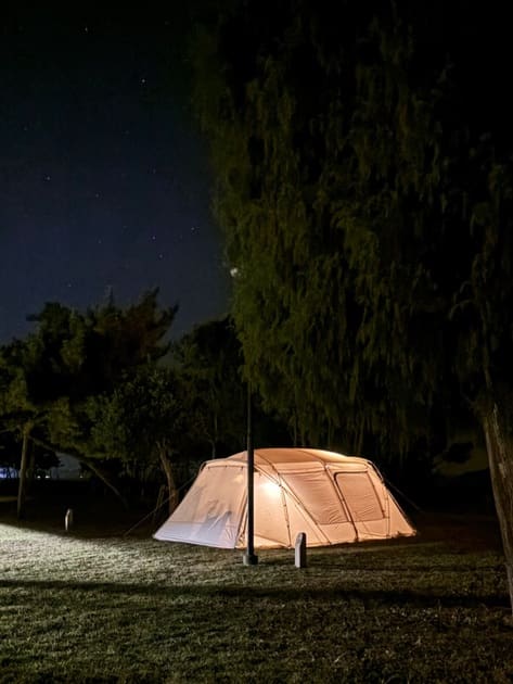 ウイングポールブラック 240cm| スノーピーク(Snow Peak)