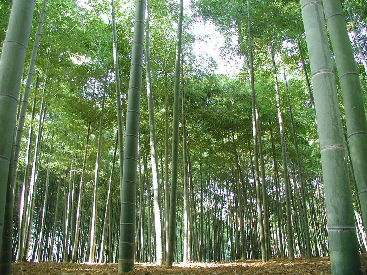 TEORI TRIANGLE STOOL / テオリ 三角 スツール 小 - インテリア・家具