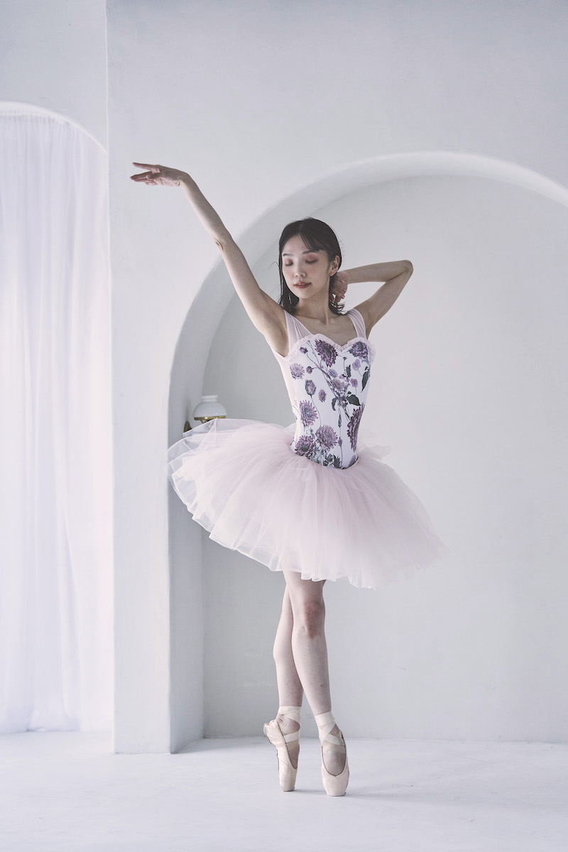 stina / type Q mermaid / Dahlia imperialis purple pink