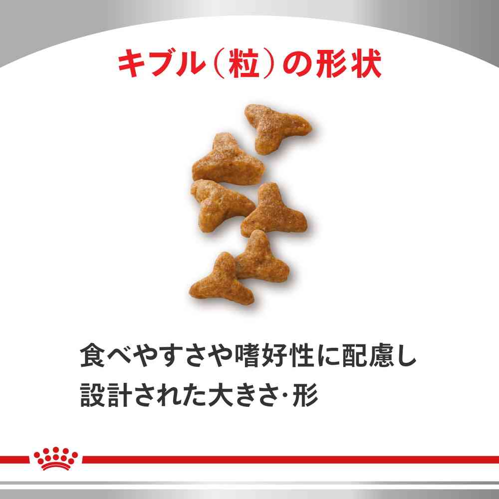 ロイヤルカナン 猫用 消化器サポート 2kg 1袋 Amazon | ロイヤルカナン