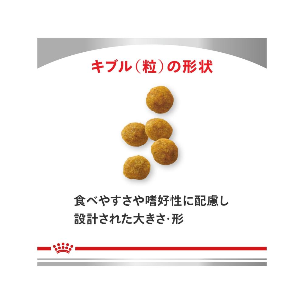 犬用 早期心臓サポート+関節サポート 1kgx1